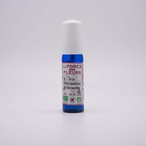 N°28 - Scleranthus Scléranthe