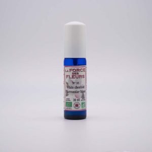 N°35 - White chestnut Marronnier blanc