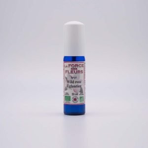 N°37 - Wild rose Églantier